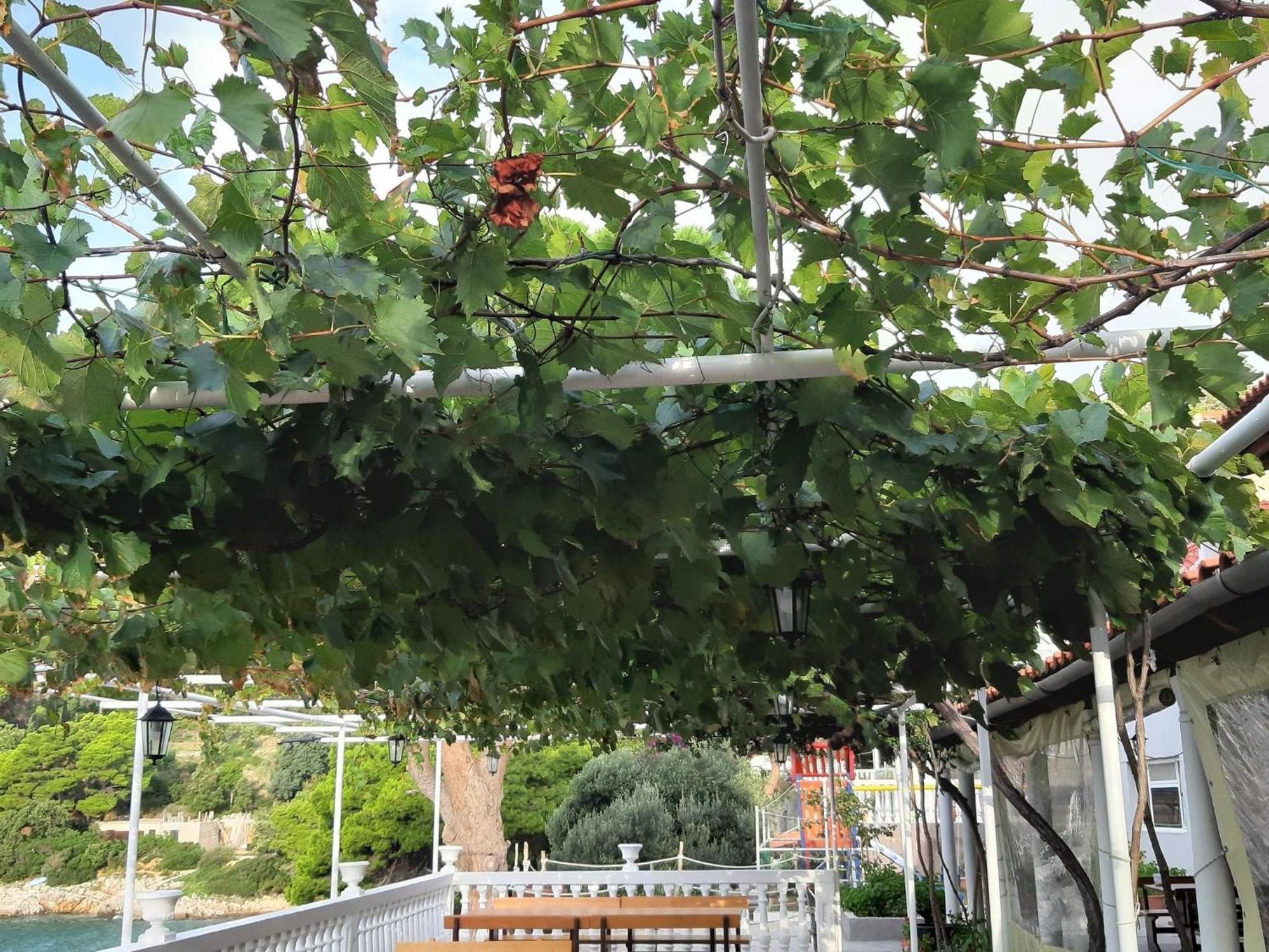 Apartments Franka ספלונרה חדר תמונה